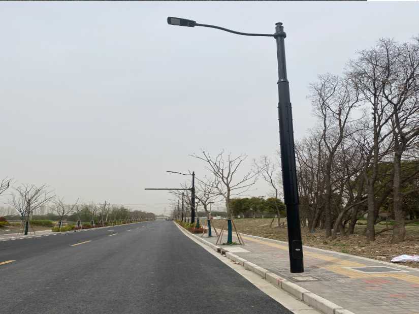 萨迦县上海综合杆 太阳能路灯工程